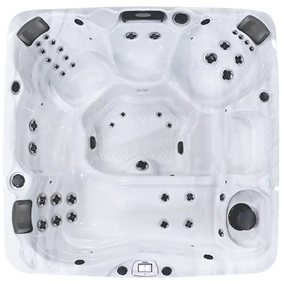 Avalon-X EC-840LX hot tubs for sale in Johnston