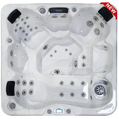 Avalon-X EC-849LX hot tubs for sale in Johnston
