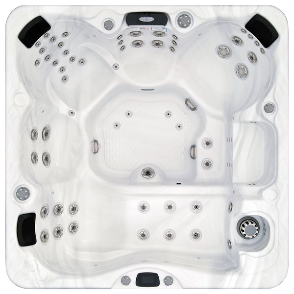 Avalon-X EC-867LX hot tubs for sale in Johnston