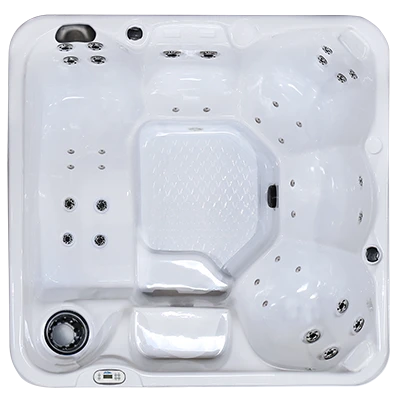 Hawaiian PZ-636L hot tubs for sale in Johnston